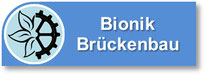 Bionik / Brückenbau